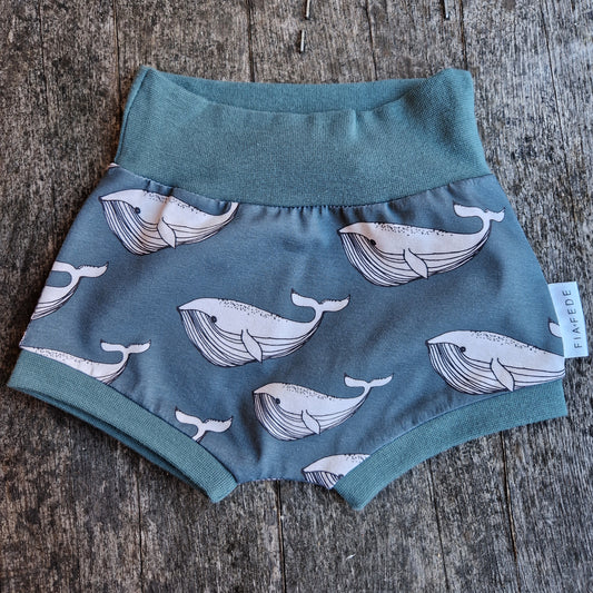 Organic Shorts - whale